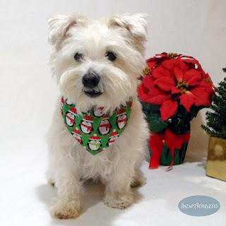  Penguins in Scarves Christmas Dog Bandana