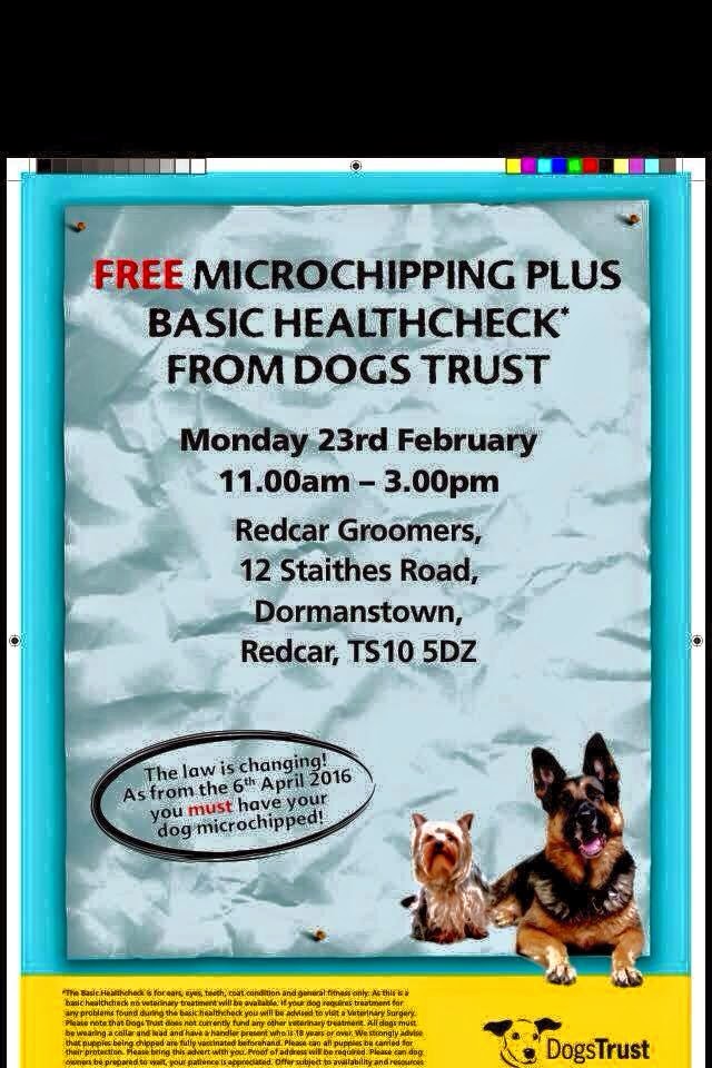 Redcar, North Yorkshire, UK. FREE Dog Microchipping, Redcar Dog