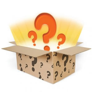 Blog Follower Mystery Box of Goodies