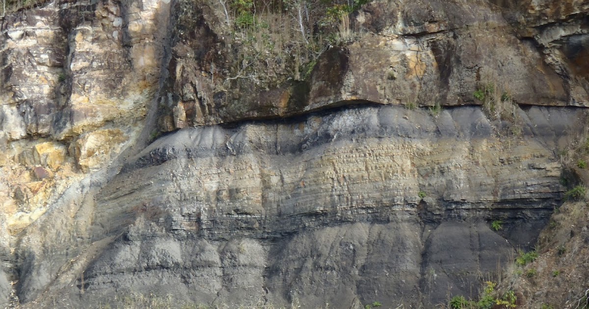 Northern Rivers Geology Geology of the 'Big Scrub Rainforest' (Part 2)