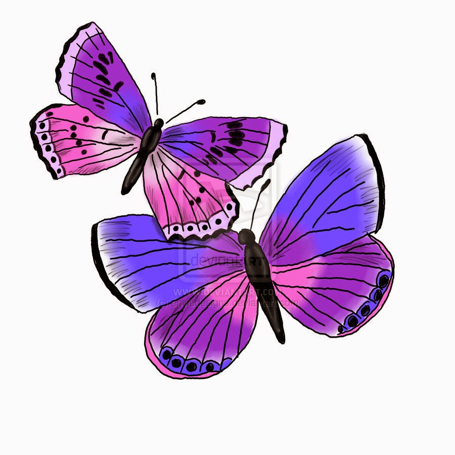 Фиолетовые бабочки картинки. Бабочки розово сиреневые. Бабочки на белом фоне. Бабочка фиолетовая. Бабочки цветные.