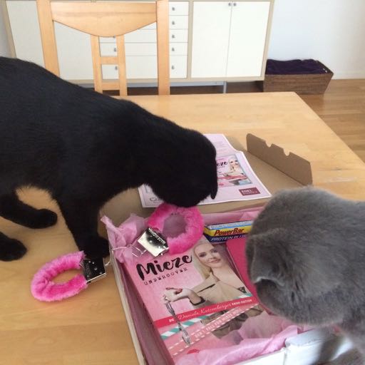 Bucher In Meiner Hand April 2018