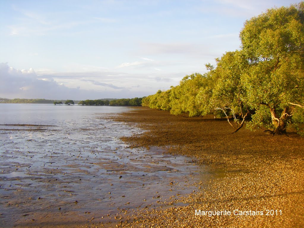Travel With Me Lamb Island Queensland Australia