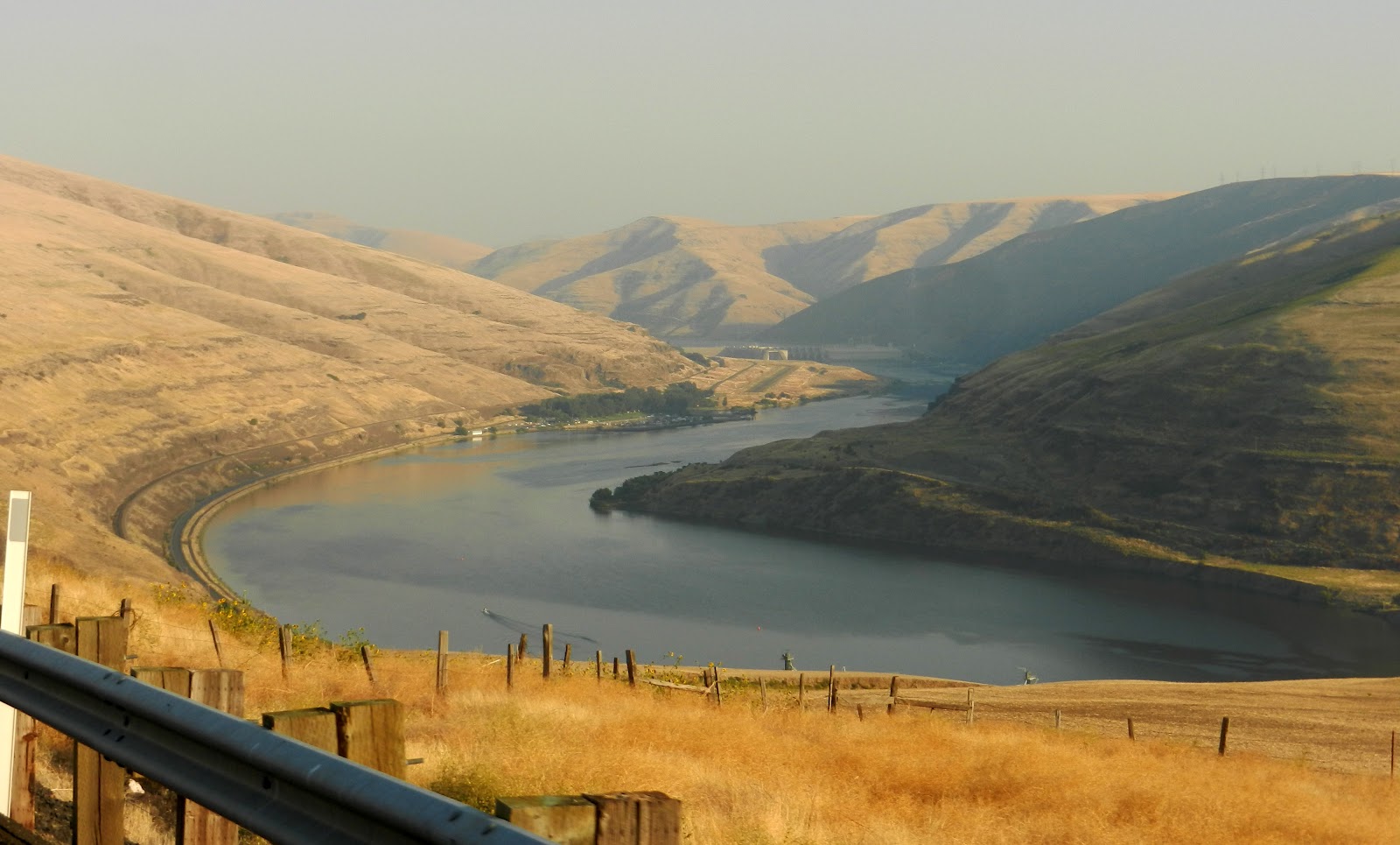 Cat Patches Almota, Washington