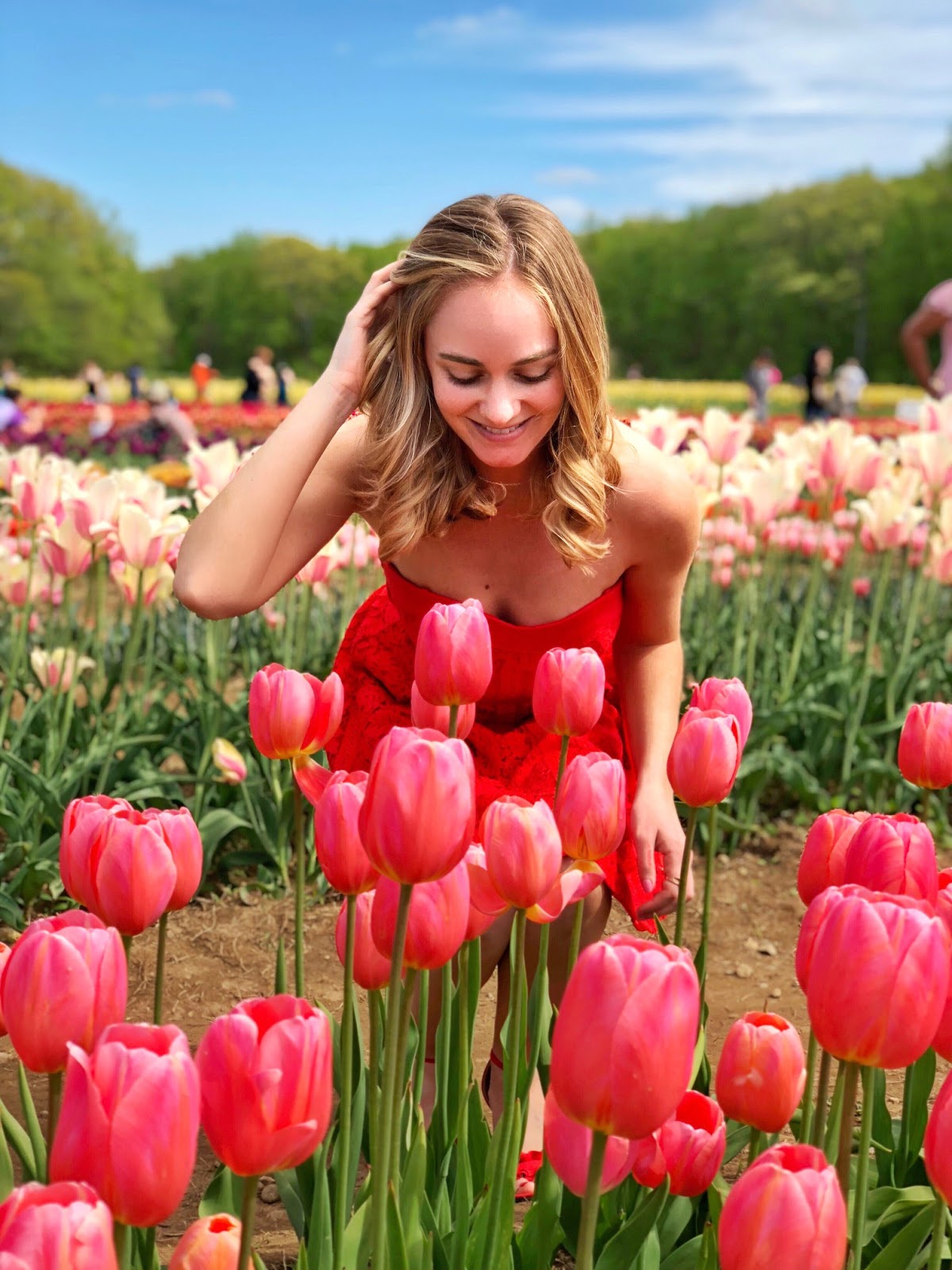 Wicked Tulips Field: How to Prevent Burnout