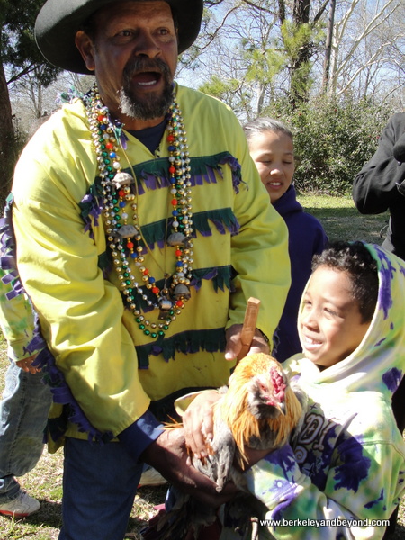 child captures chicken in Iowa Chicken Run in Iowa, Louisiana