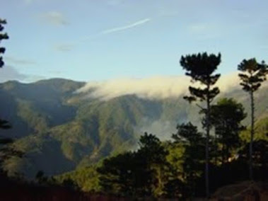 Baguios' cloud capped mt. sto. thomas