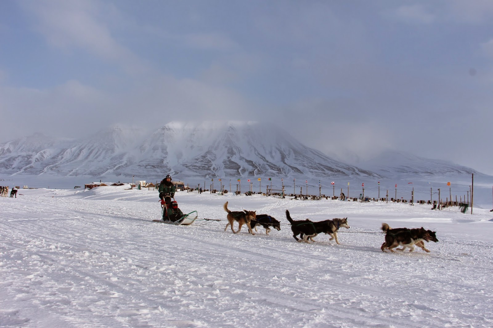 O apelo do Árctico - Correndo em TRENÓ DE CÃES em Svalbard | Noruega