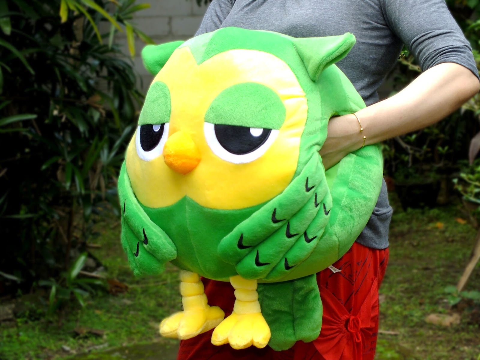 Gambar Wallpaper Burung Hantu Lucu Kampung Wallpaper