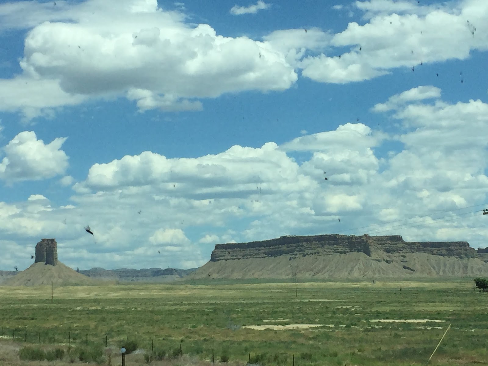 The Roadrunner Chronicles Albuquerque to Cortez Colorado