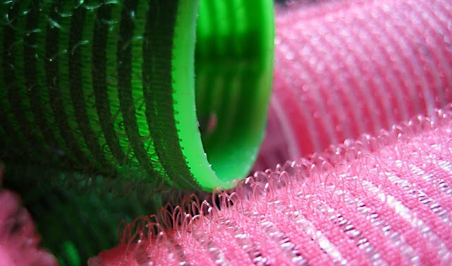 Image: Velcro(r) Rollers, by Shotsling on FreeImages
