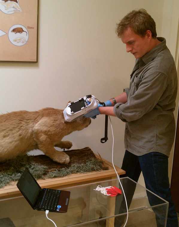 XRay Fluorescence Analysis of Photographic Materials Arsenic