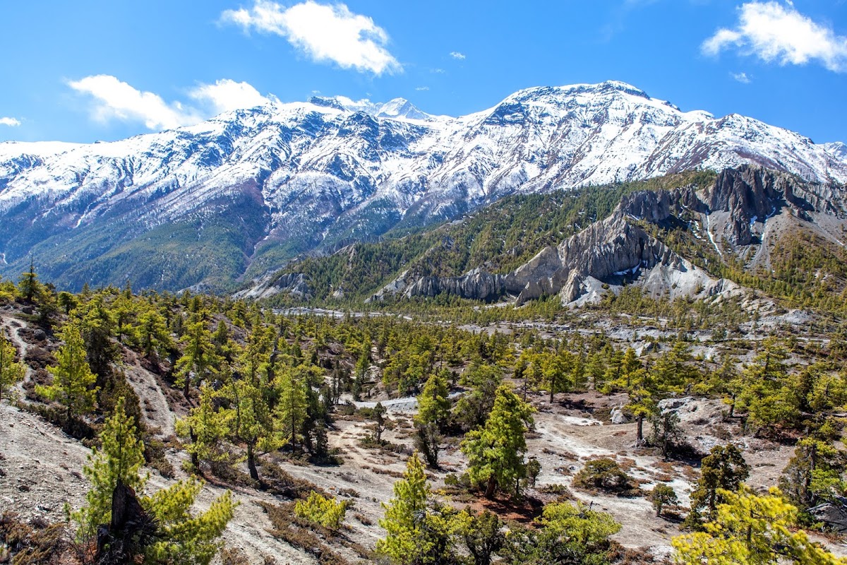 200км по красно-белым черточкам.. Around Annapurna. март-апрель 2017