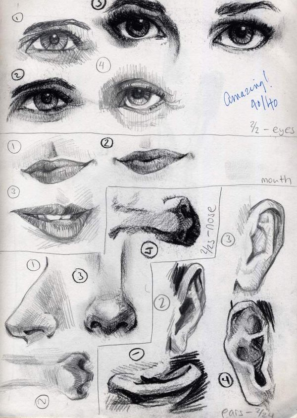 Facial Features Drawing 85