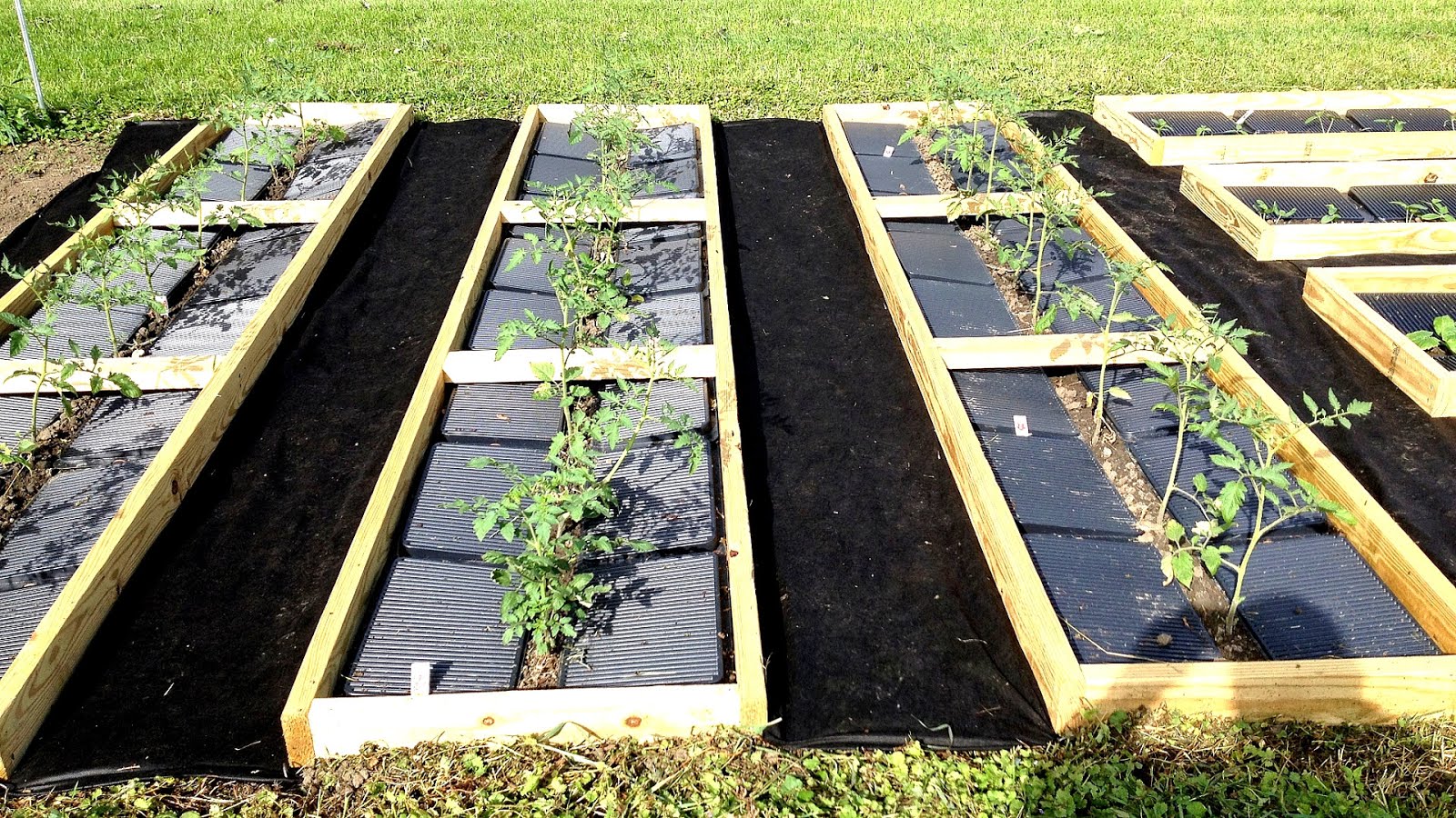 Vegetable Garden Weed Control Vege Choices