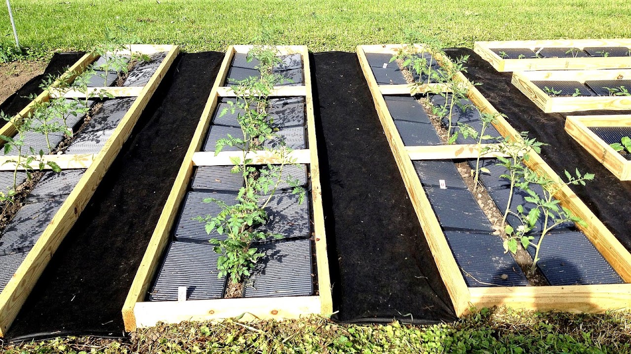 Vegetable Garden Weed Control Vege Choices