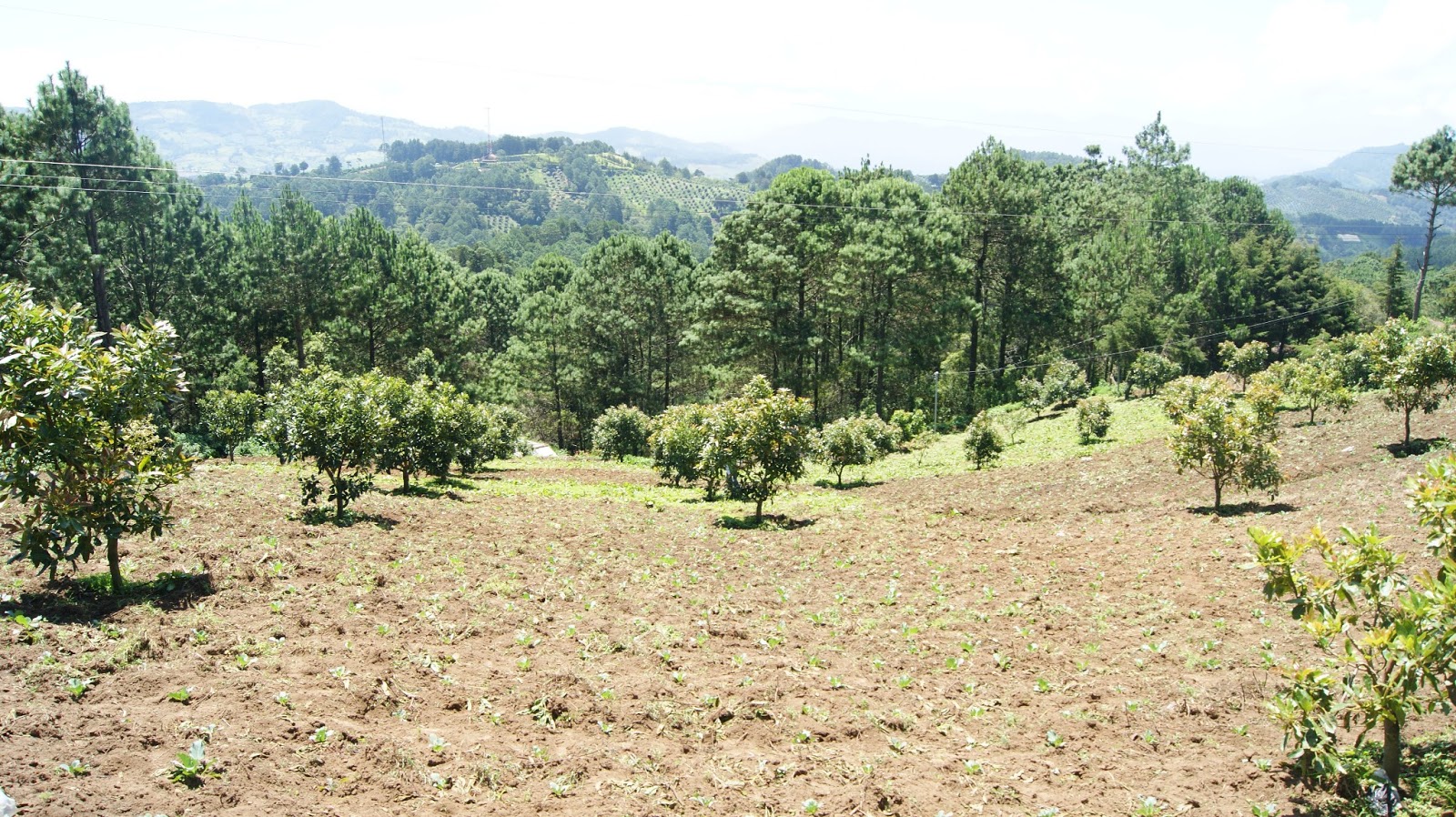 Venta de Terrenos en Miramundo Chalatenango El Salvador Venta Terrenos