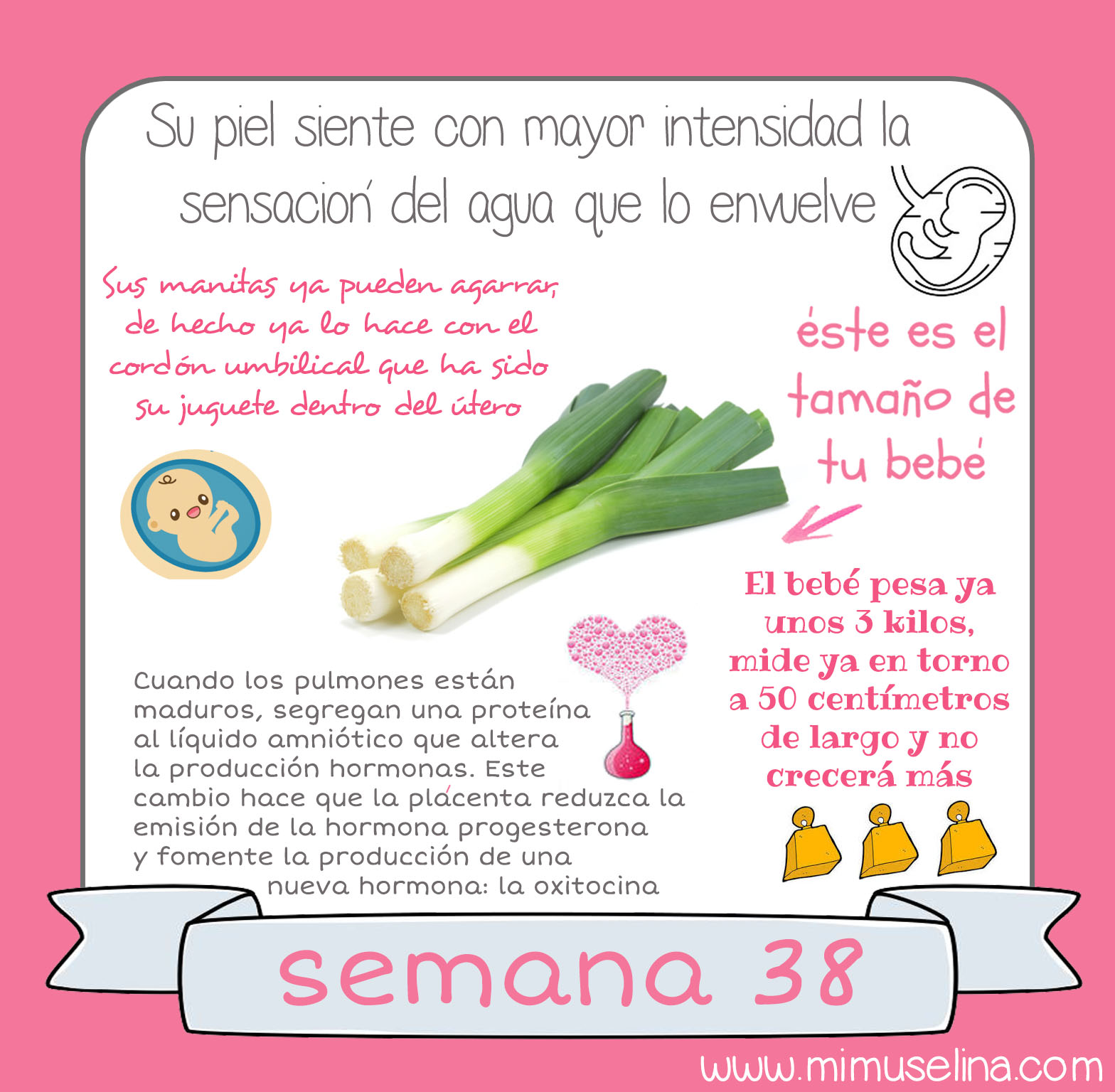 38 semanas de embarazo movimientos del bebe