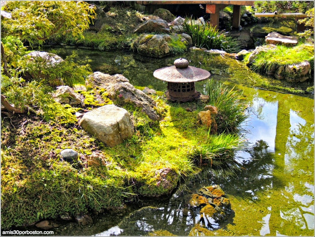 Japanese Tea Garden: San Francisco Japanese Tea Garden: San Francisco