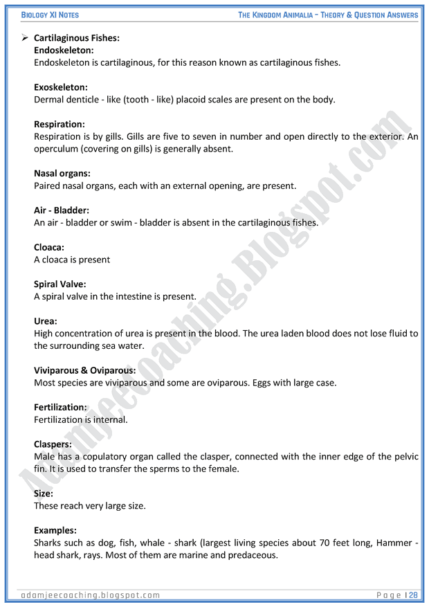 kingdom-animalia-descriptive-question-answers-biology-11th