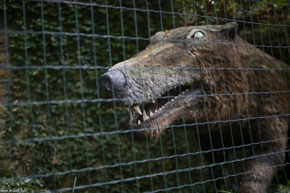 35+ علم اسبانيا القديم Background