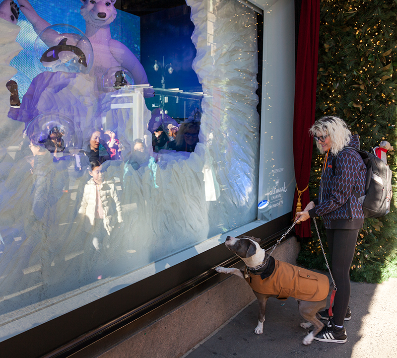 james and karla murray photography some of our favorite saks fifth ave christmas windows