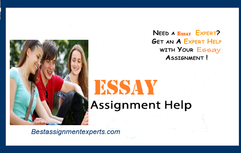mis assignment essays Assignment 2 mis project your presentationis to be electronically submitted through the link in the cis8000 studydesk it should contain a url link to your video presentation on youtube or any other presentation system of your choice, you must test the link to ensure it works effectively. mis assignment essays Assignment 2 mis project your presentationis to be electronically submitted through the link in the cis8000 studydesk it should contain a url link to your video presentation on youtube or any other presentation system of your choice, you must test the link to ensure it works effectively.