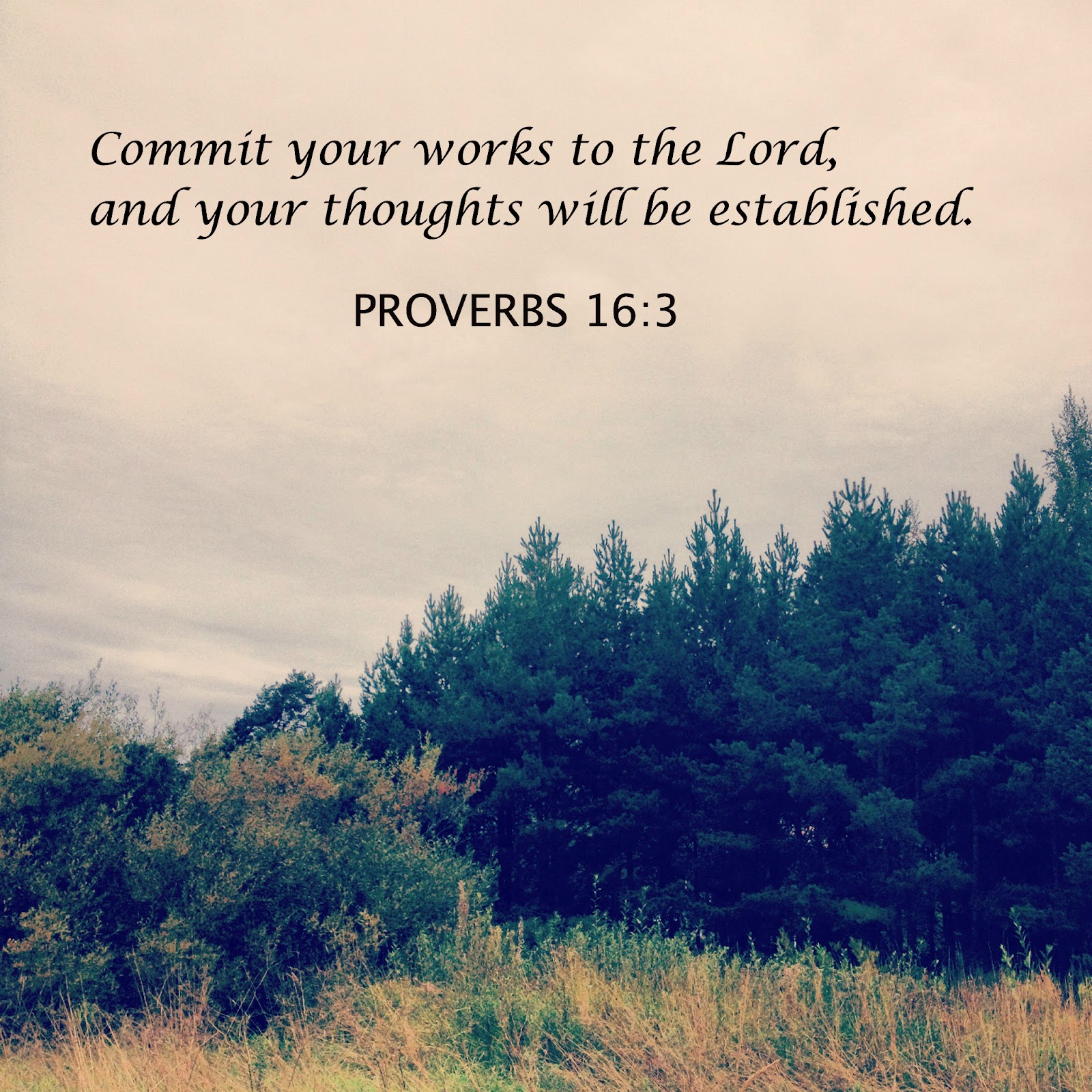 a dash of faith: wednesday writings: Proverbs 16:3