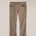 Brion Pant