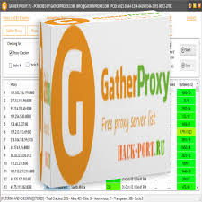 Gather Proxy Premium Portable