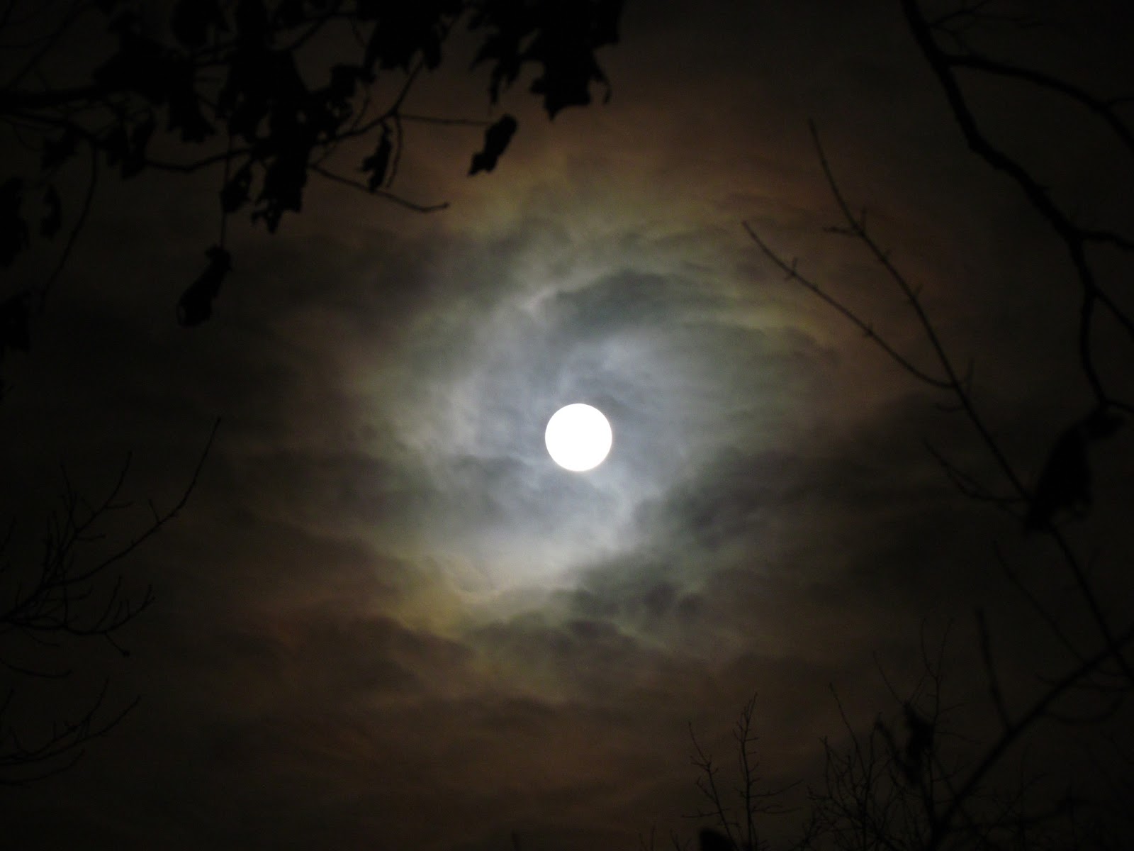 The Oakland Press Blogs Earth's Almanac Moon shadows and night tracks