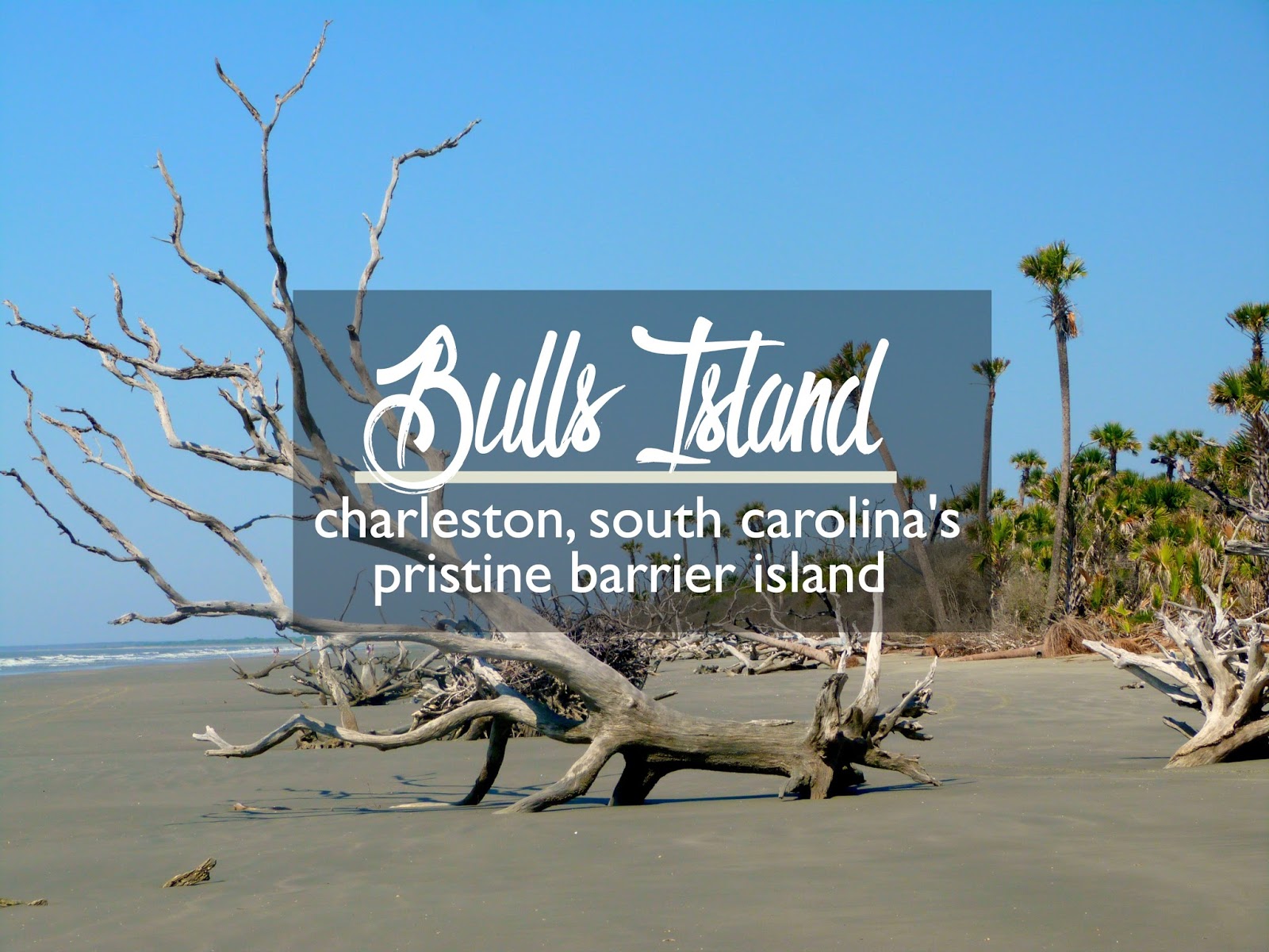 Bulls Island Charleston, South Carolina's Pristine Barrier Island