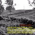 Collection Of Poems By Reni Mulfiani Part II