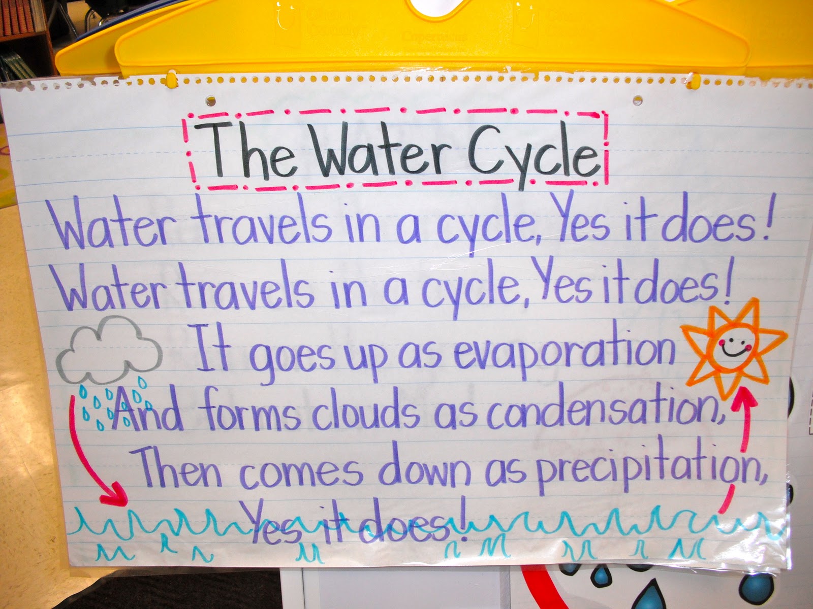 The Half Full Chronicles: Let's Chat About the Water CYCLE!