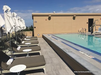 roof-top pool at The Clement Hotel in Palo Alto, California