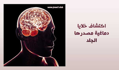 اكتشاف خلايا دماغية مصدرها الجلد ايميل وزارة الصحة,الصحة,ايميل الوزارة,البريد الالكترونى لوزارة الصحة,ايميل الصحة