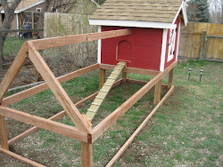 Flights Of Fancy: The Final Sprint