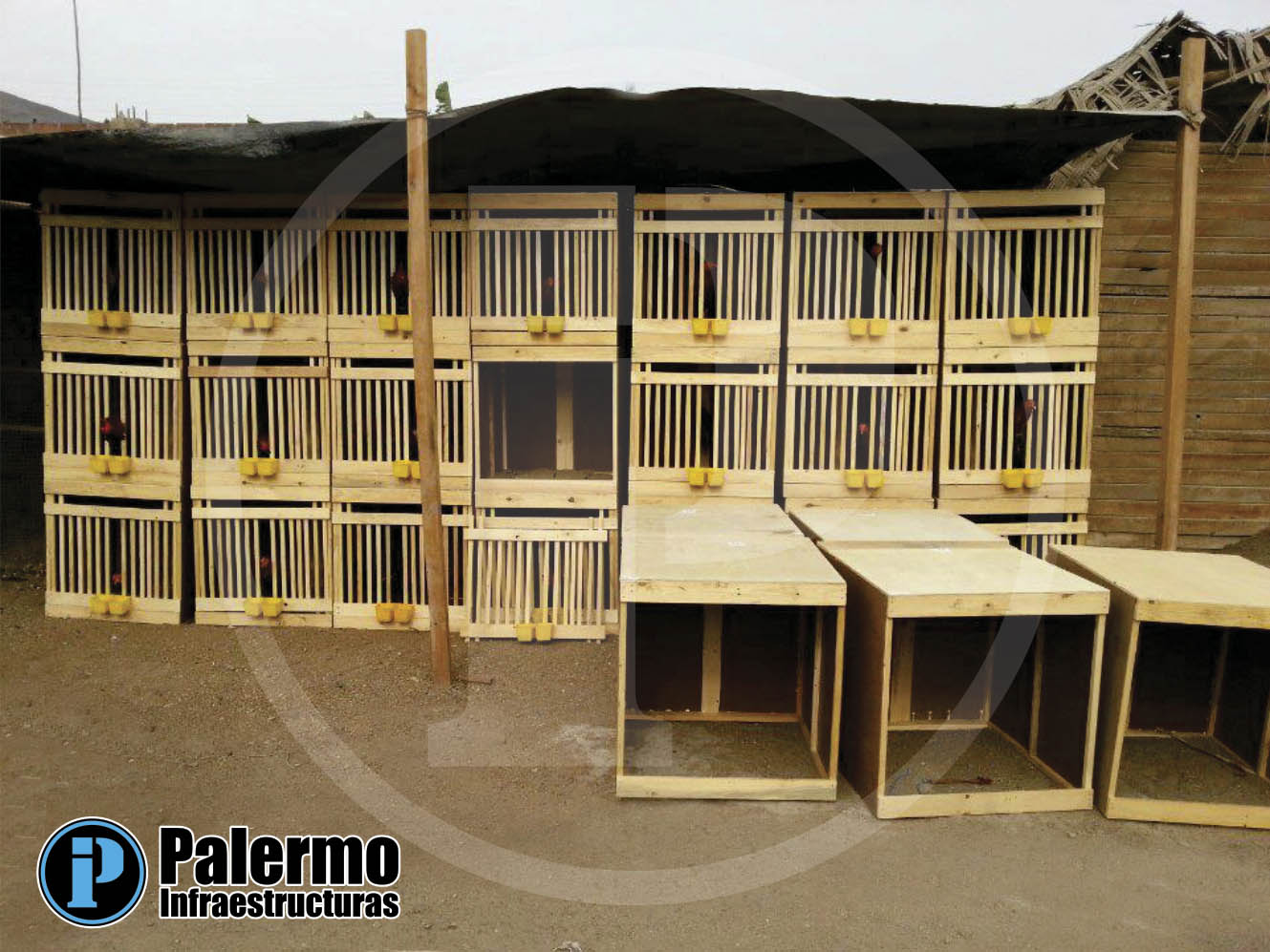 PALERMO INFRAESTRUCTURAS Jaulas para Gallos madera Palermo 70