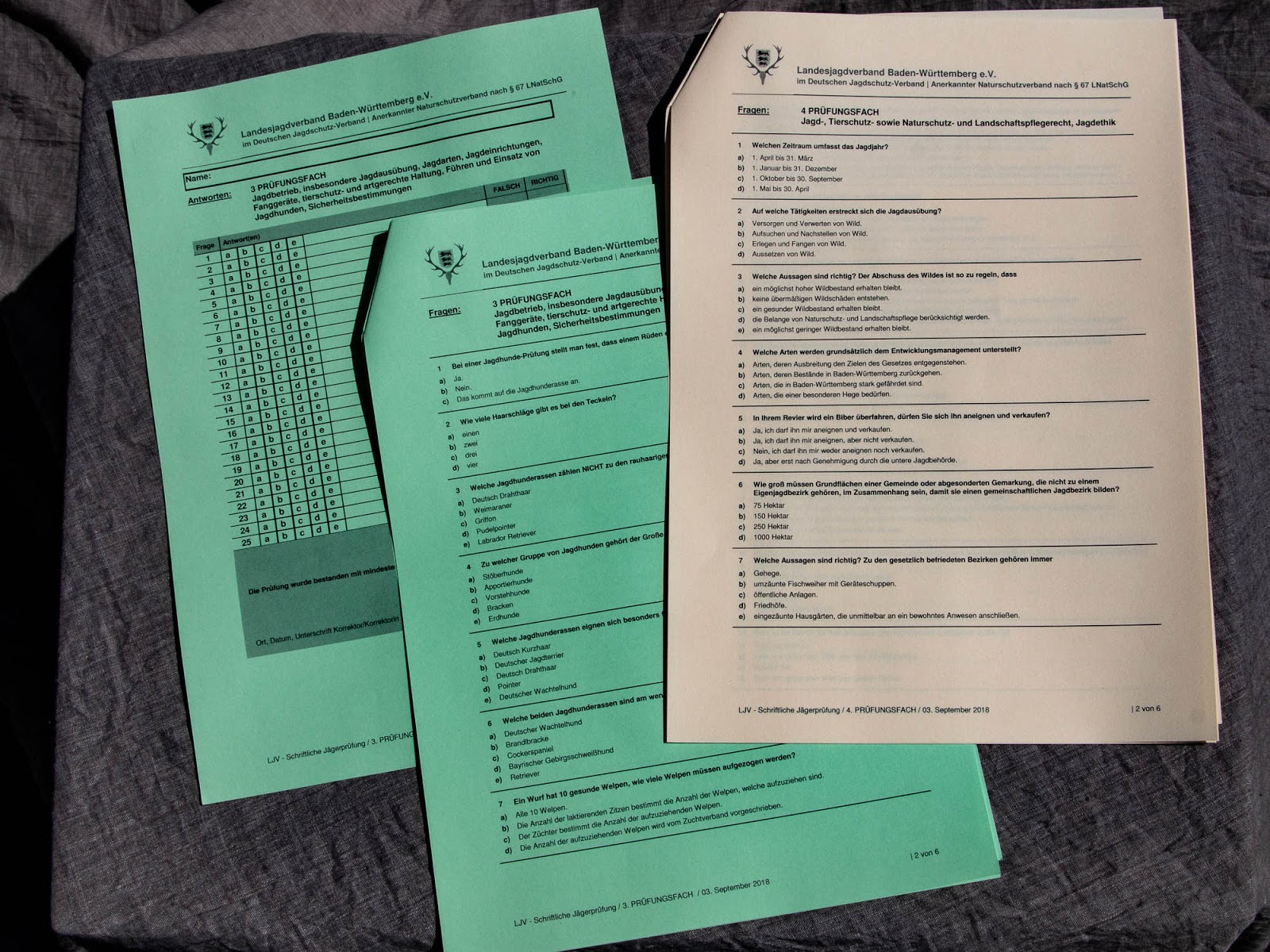 Sustainability Free Full Text Interaction Of Public Transport Accessibility And Residential Property Values Using Smart Card Data Html
