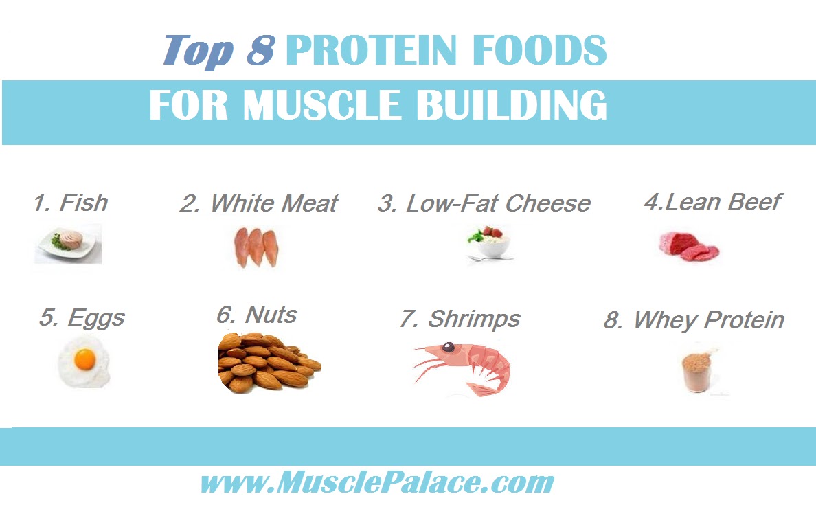 Muscle Palace: Top 8 Foods Highest in Protein for Muscle Building