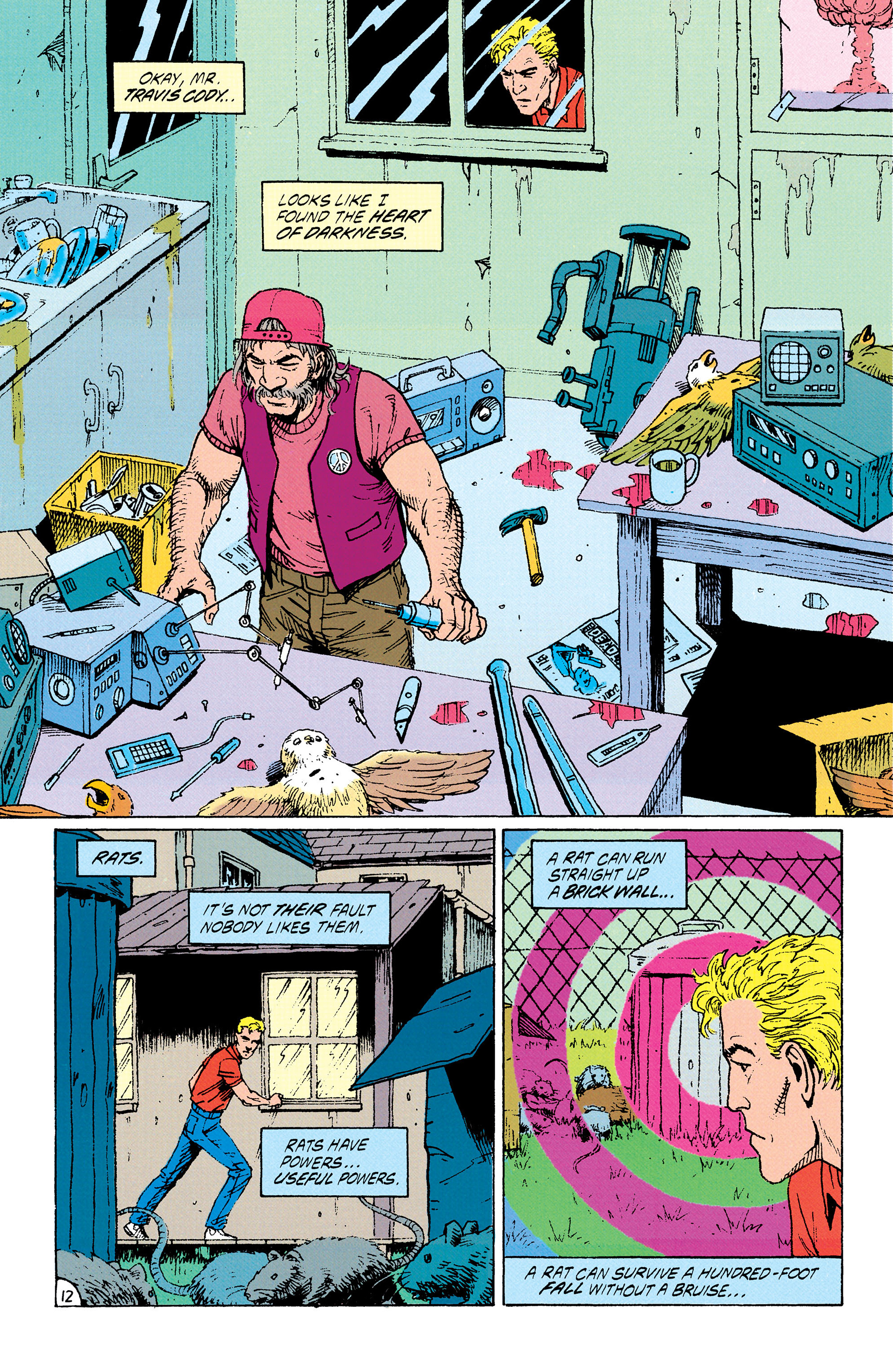 Read online Animal Man (1988) comic -  Issue #34 - 13