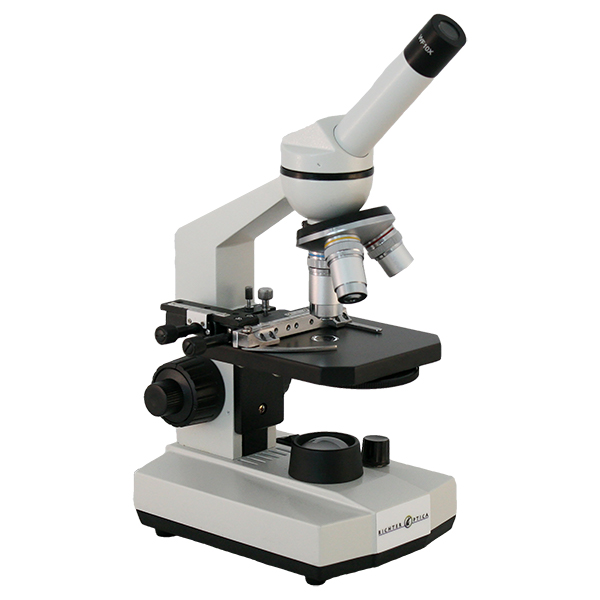 Microscope World Blog Middle School Microscopes