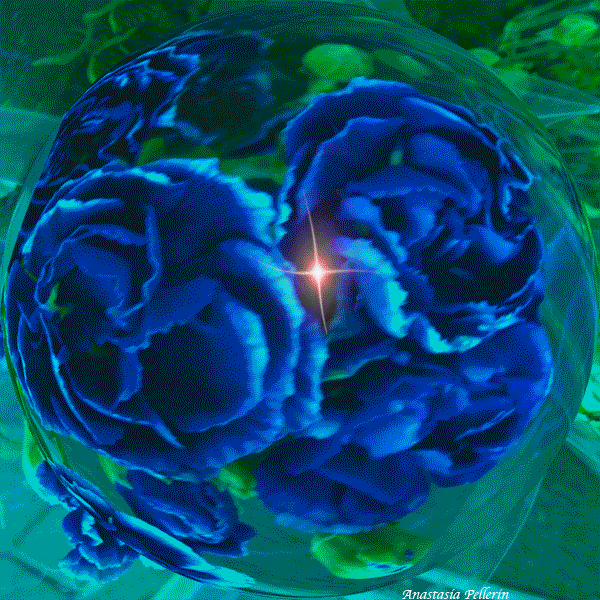 Art + Music with carnations also rememberroses and thistreeplace