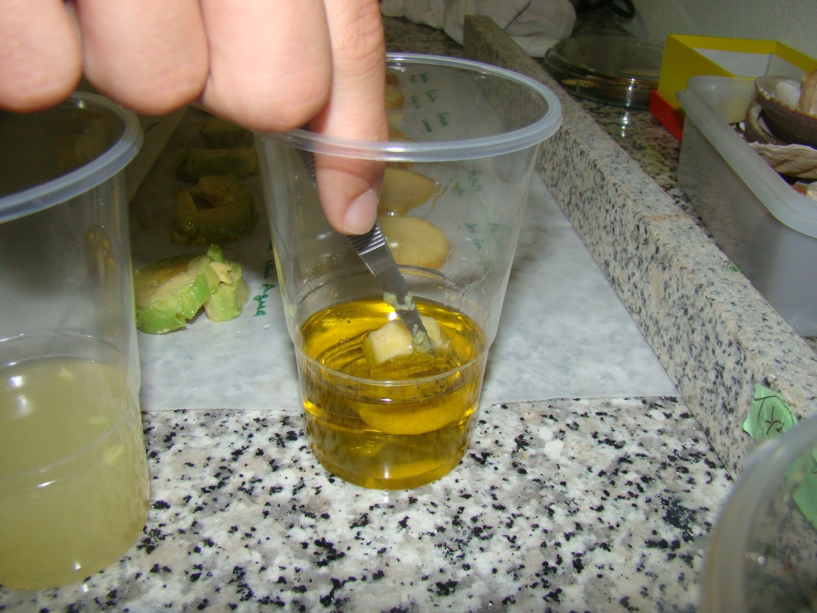 Science Magazine Fruit Oxidation Why do foods turn brown? Science