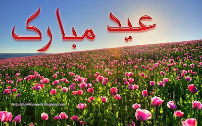Eid Ul Adha Zuha Mubarak Flowers Wallpapers Greeting Cards in Urdu 009