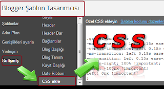 Blog CSS Kodunuz Silinmesin Çözümü