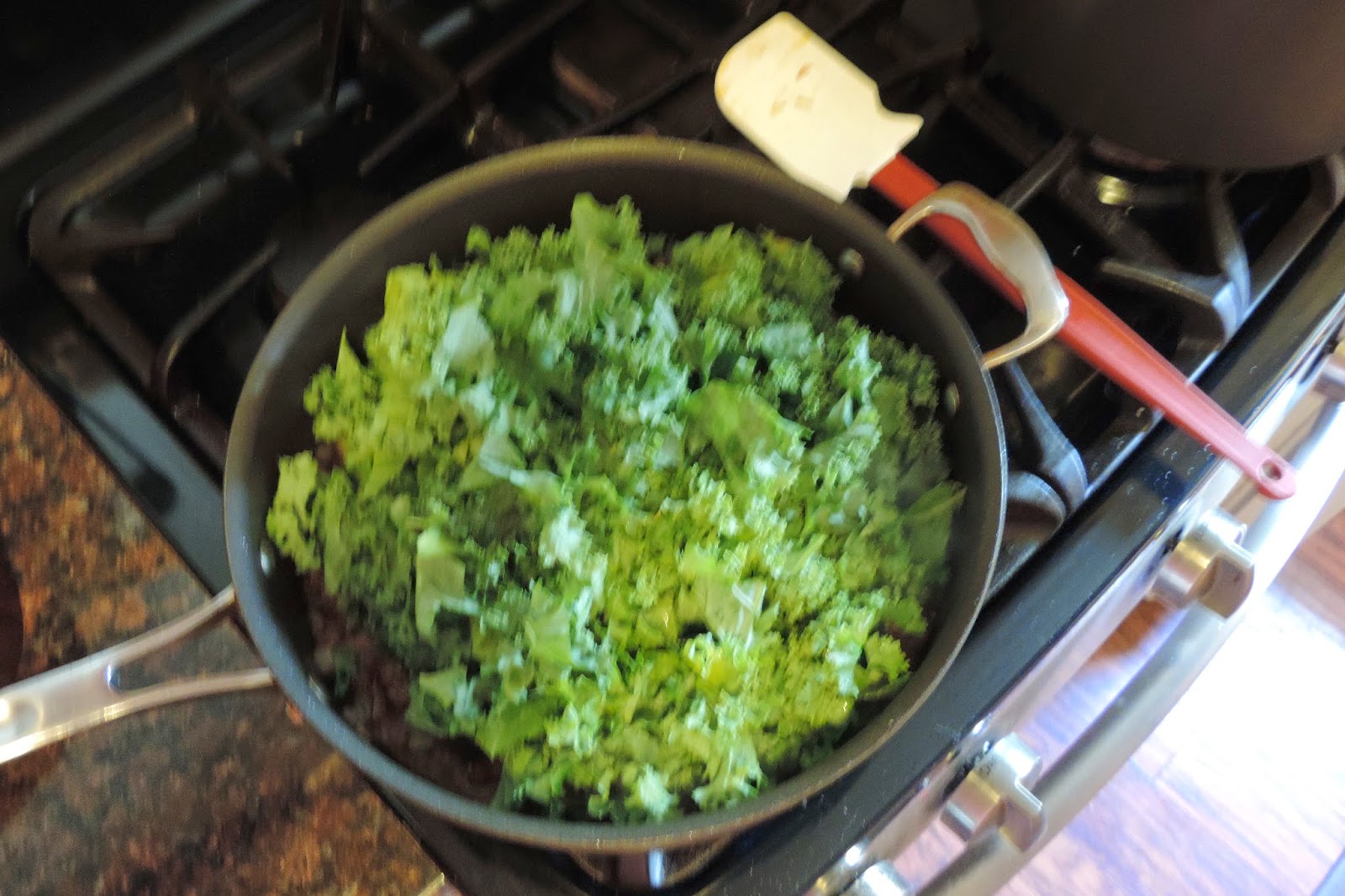 Mushroom Fettuccine with Kale in a White Wine Cream Sauce The Kitchen