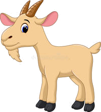 goat : con dê (gô-tơ) - Tiếng Anh Phú Quốc
