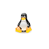 Linux CentOS Network unreachable 處理解決方式