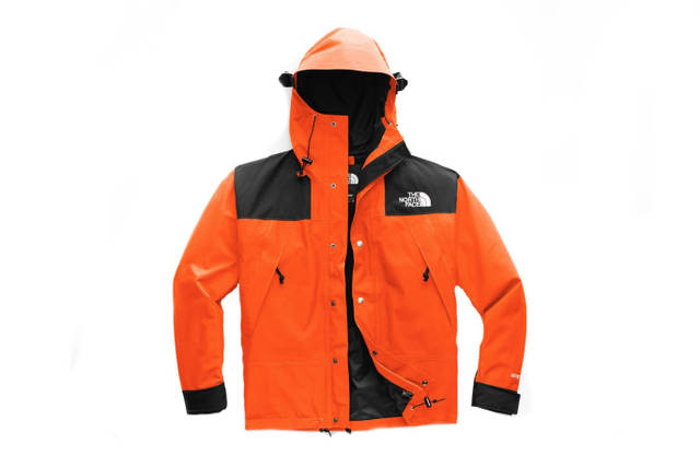 NEW THE NORTH FACE MOUNTAIN JACKET